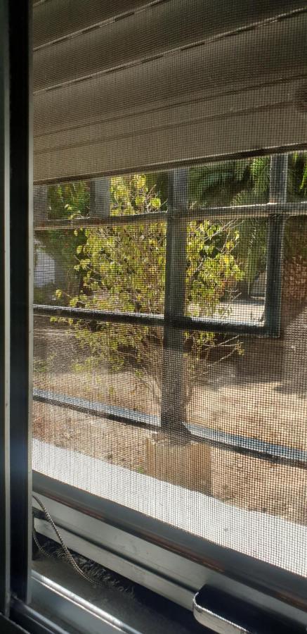 Habitacion En Casa De Familia "Valenciabonita" מראה חיצוני תמונה